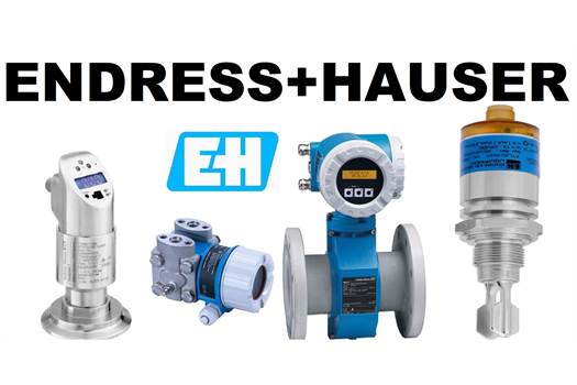 Endress Hauser COS41-2F 