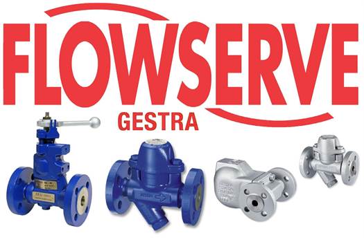 Flowserve Gestra RT117 